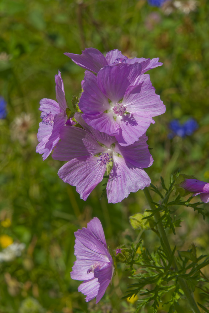 NIKON_2024_00604NF.jpg