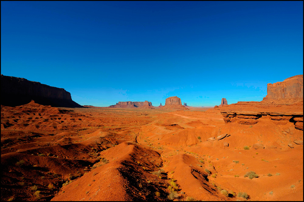 nikonforum1