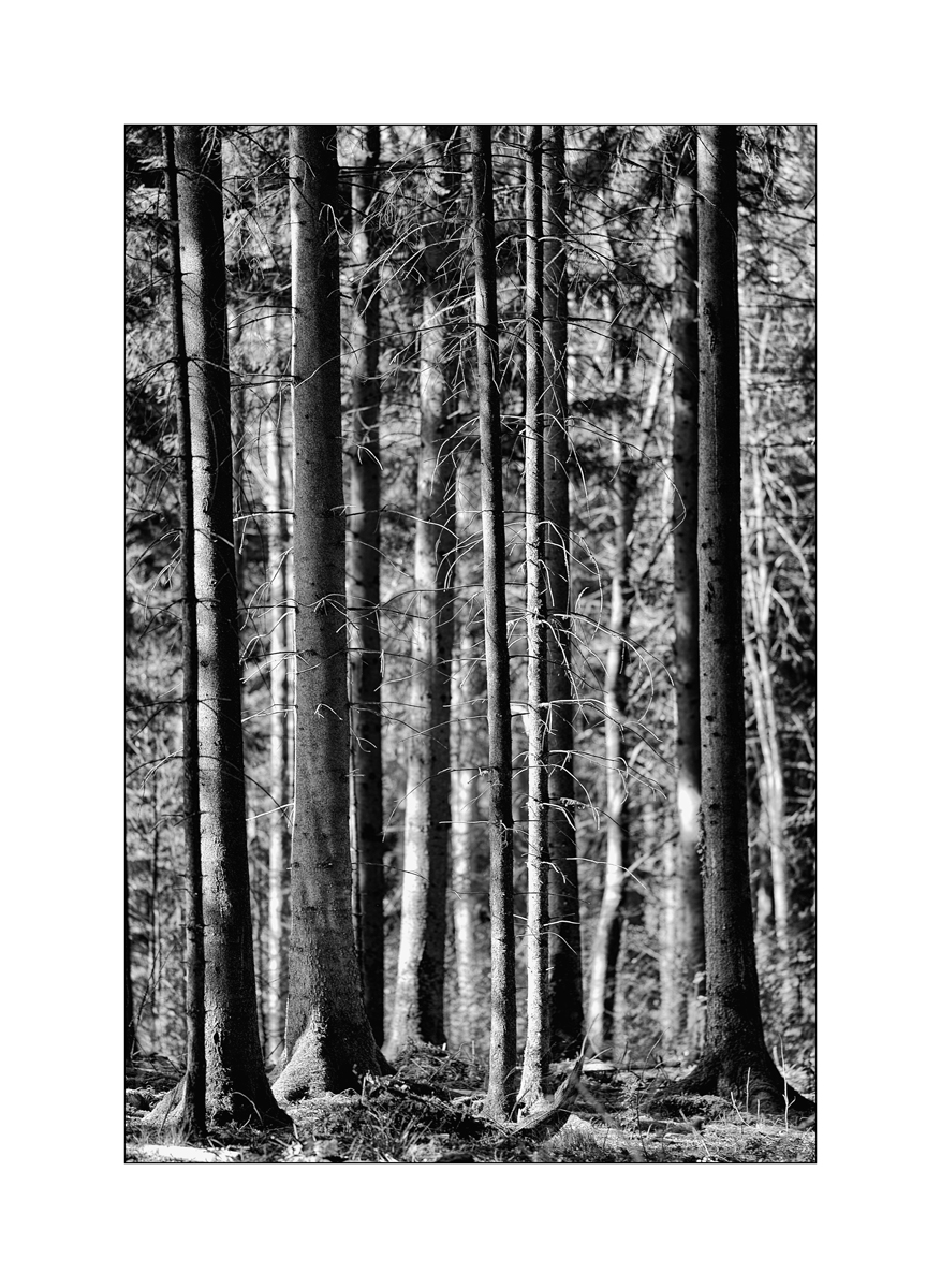 NikonPZ1 0520