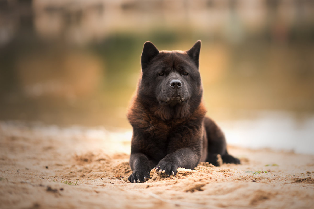 NK_DSC_2339.jpg