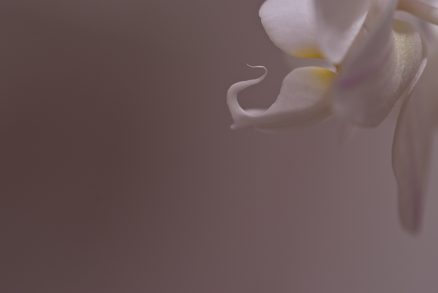 [No title]
