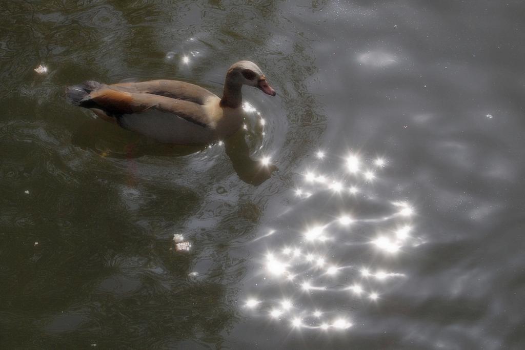 [No title]