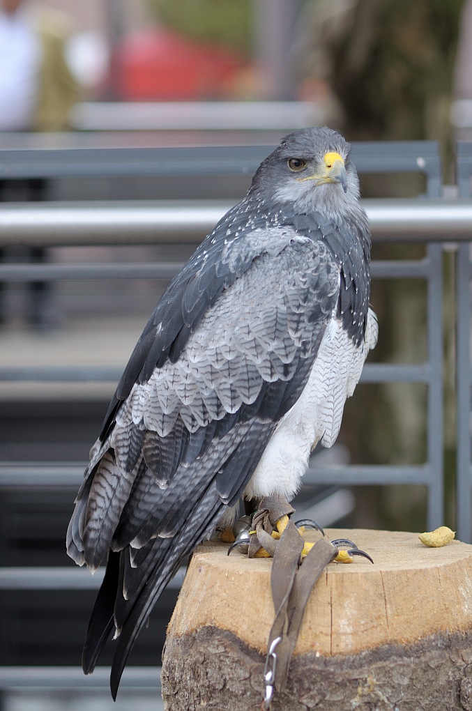 [No title]