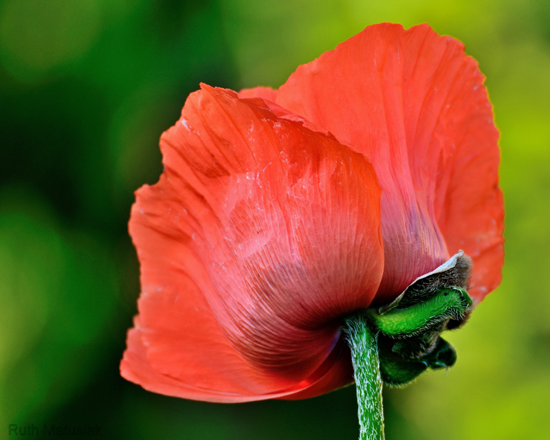 [No title]