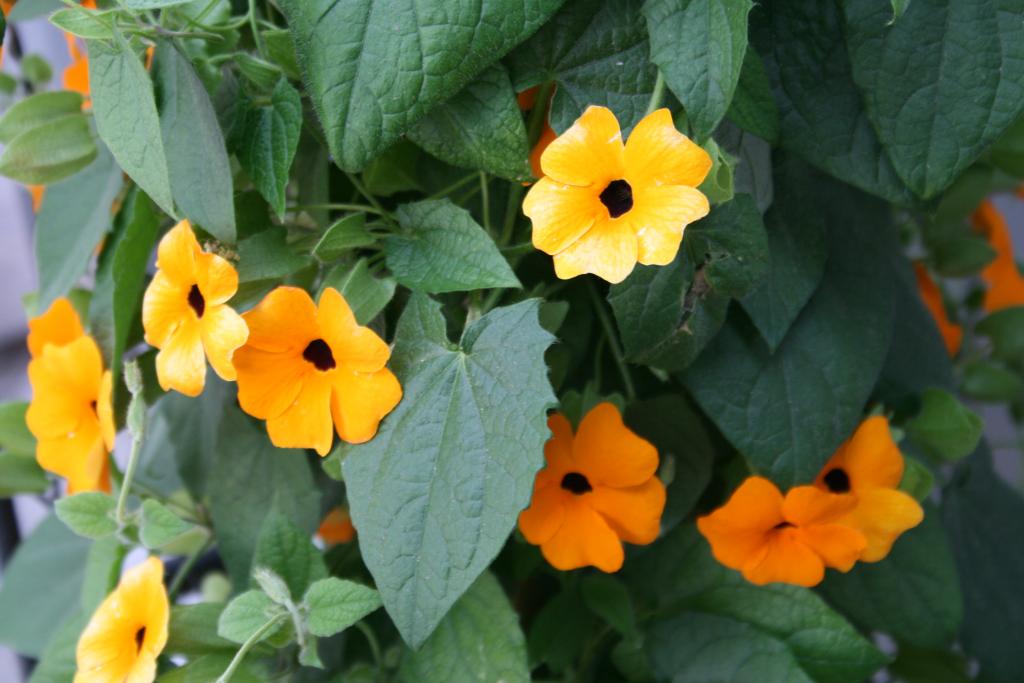 [No title]