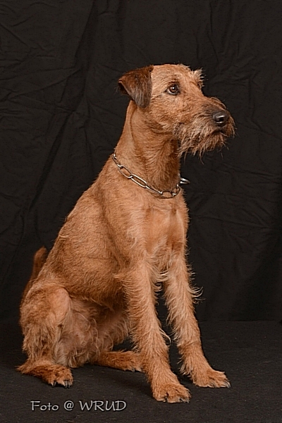 [No title]