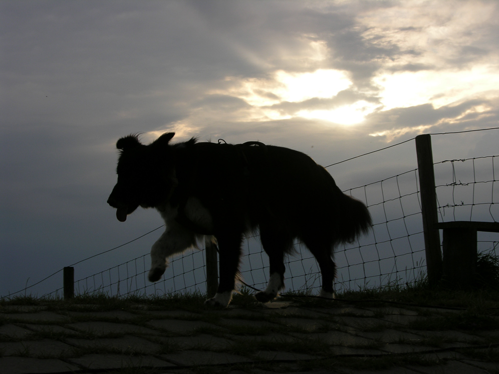 [No title]