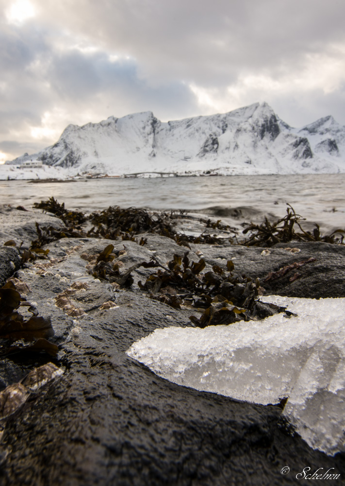 [No title]