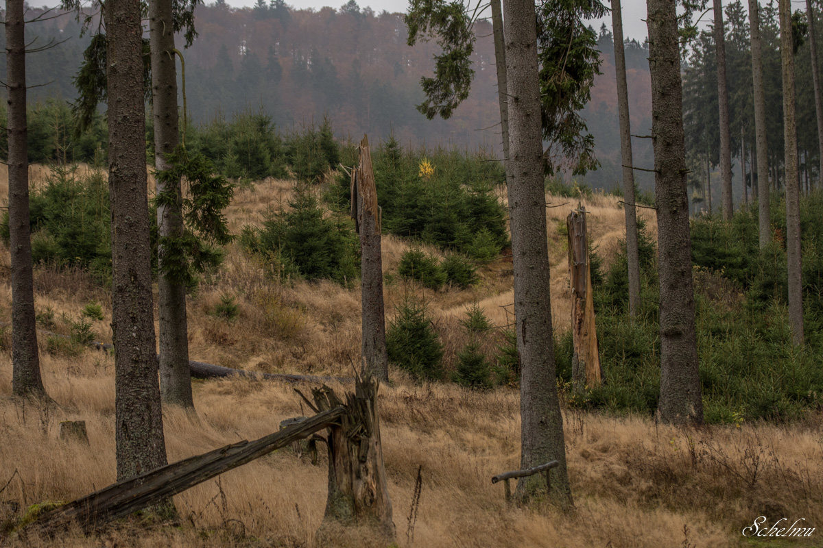 [No title]