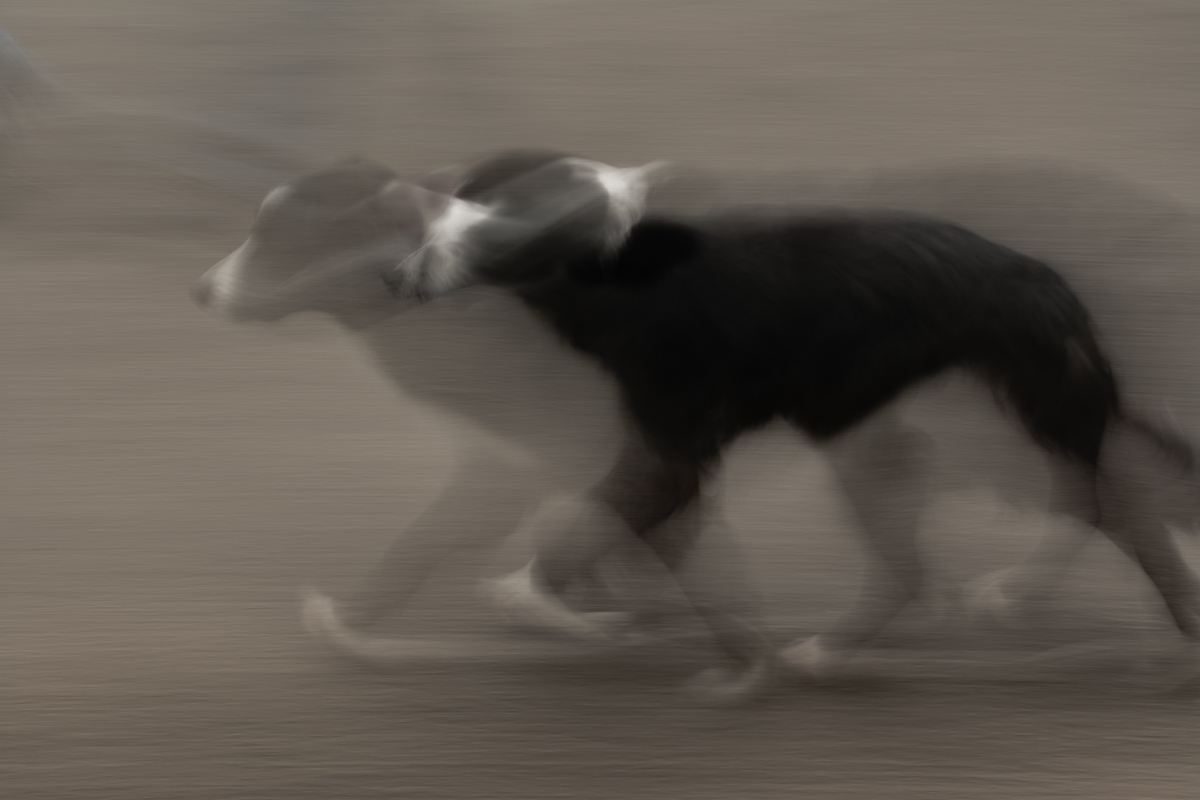 [No title]
