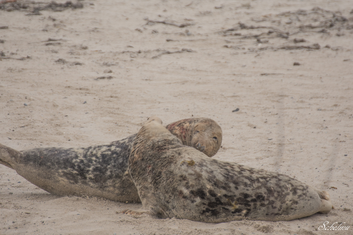[No title]