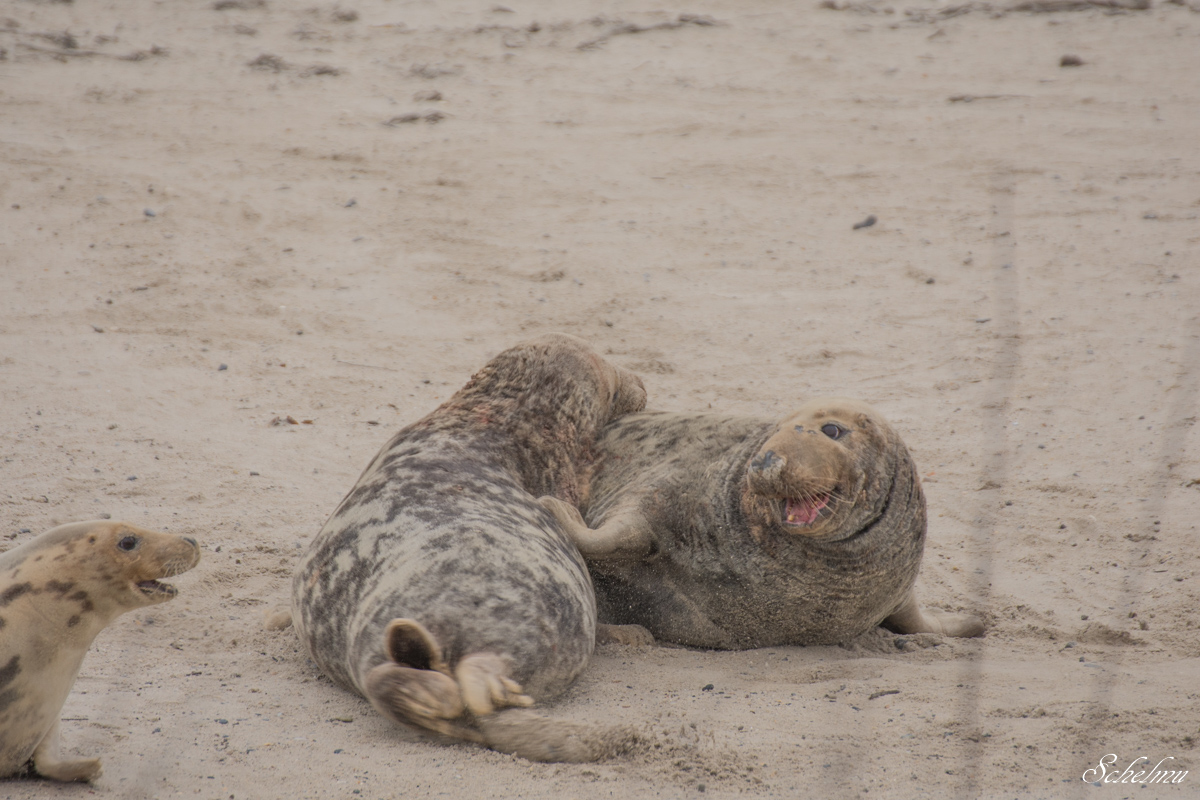 [No title]