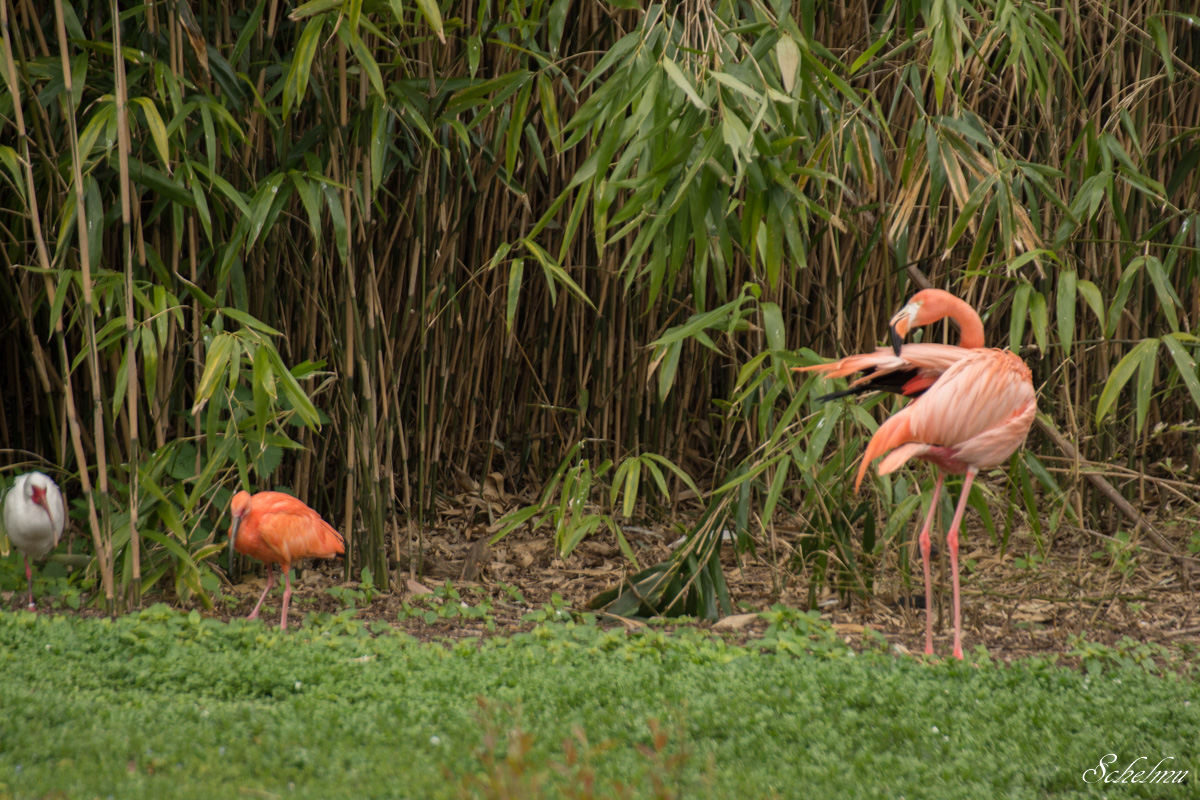 [No title]