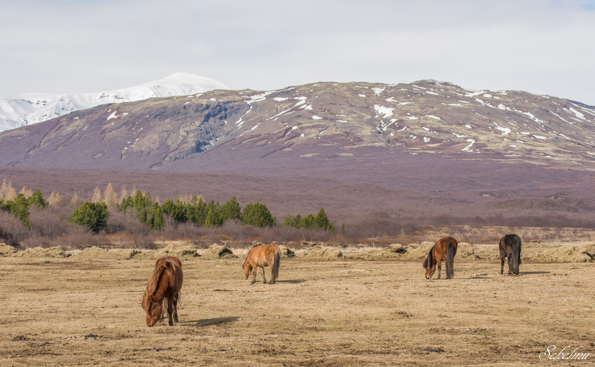 [No title]