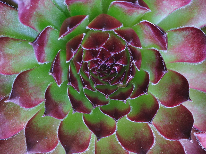 [No title]