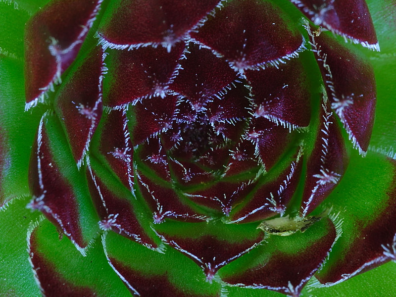[No title]