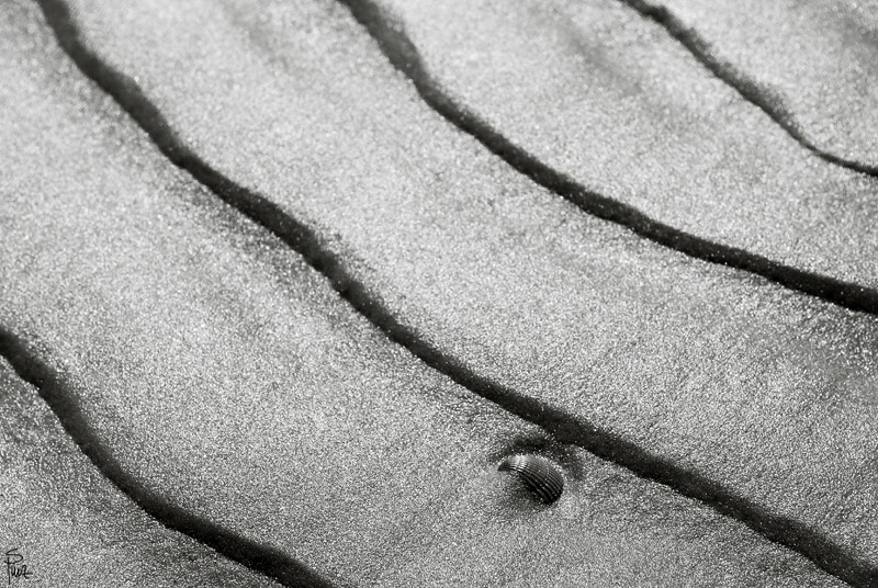 [No title]