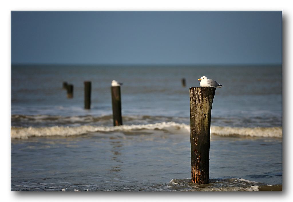 Norderney