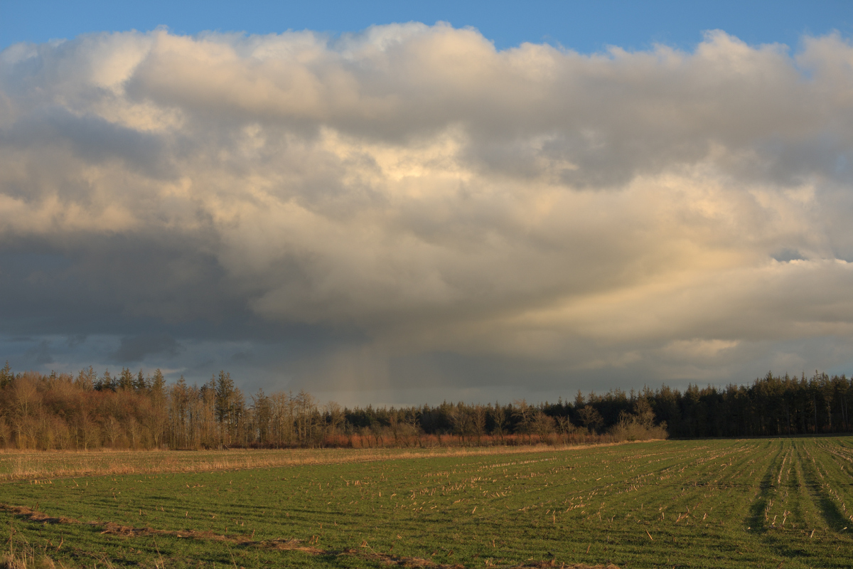 Nordfrieslandschaft.jpg