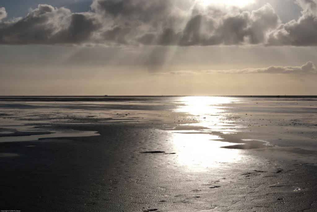 Nordsee 01 6