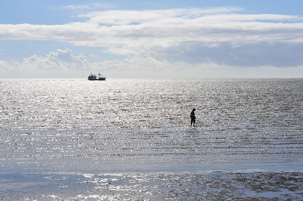 Nordsee Sept. 2012 014