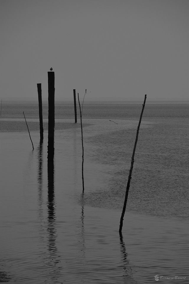 Nordsee3