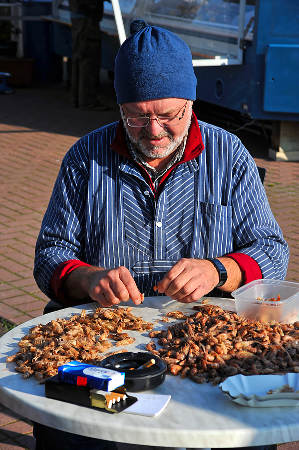 Nordseekrabbenpuler.jpg