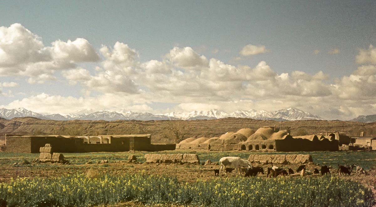 Nouruz75-118.jpg