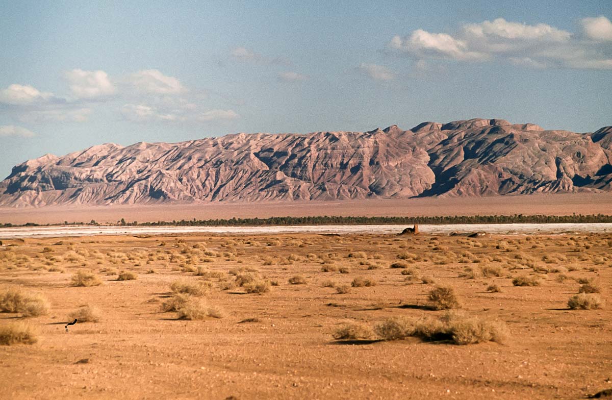Nouruz76-26.jpg