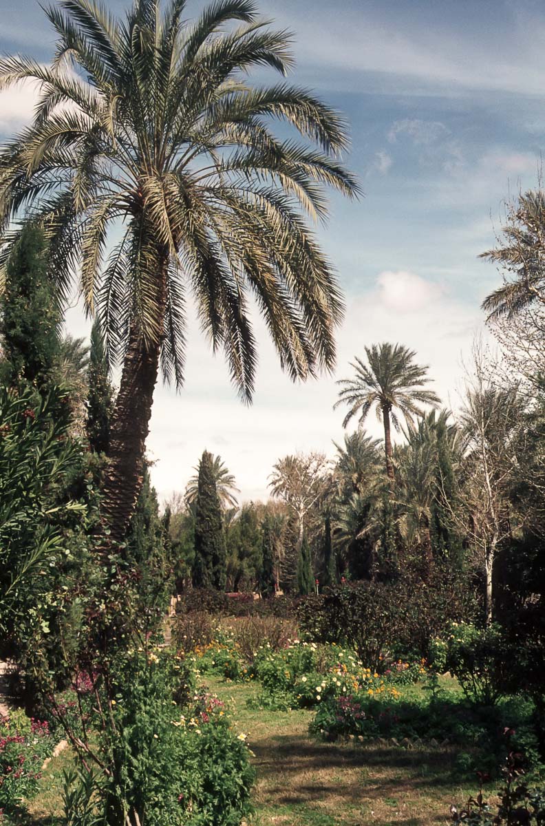 Nouruz76-50.jpg