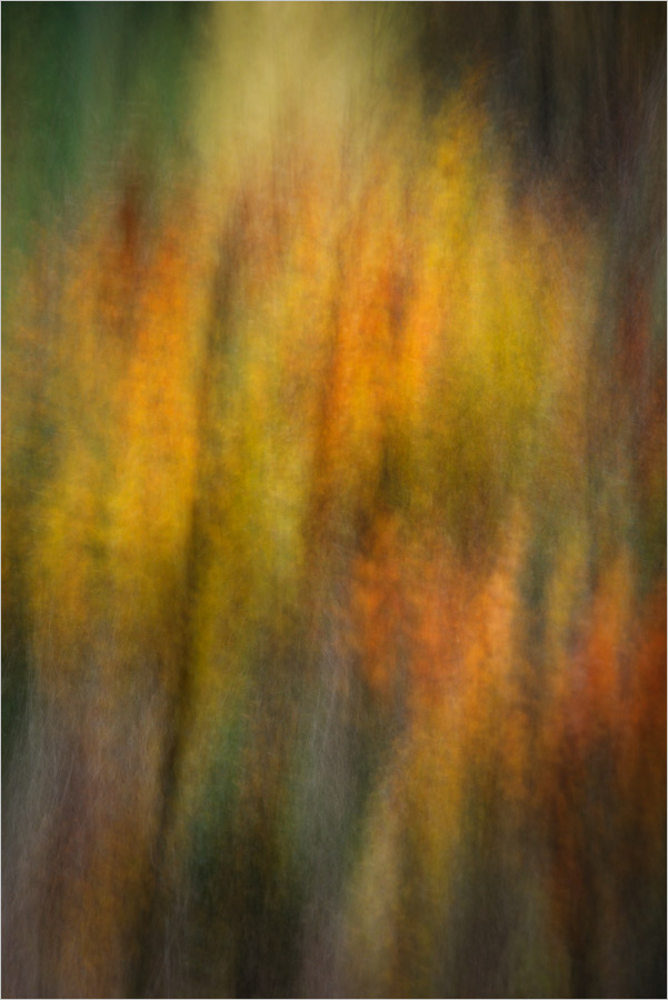 November