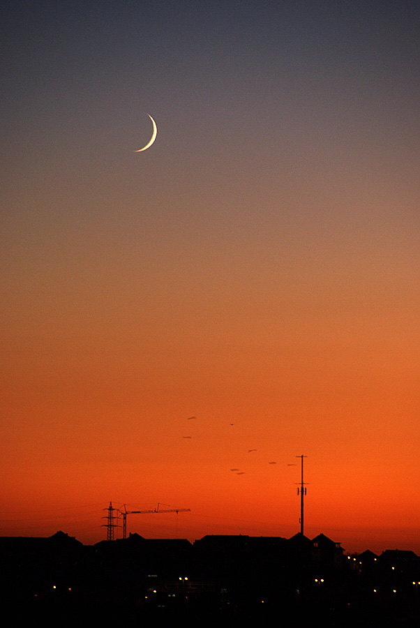 Novemberlicht 3