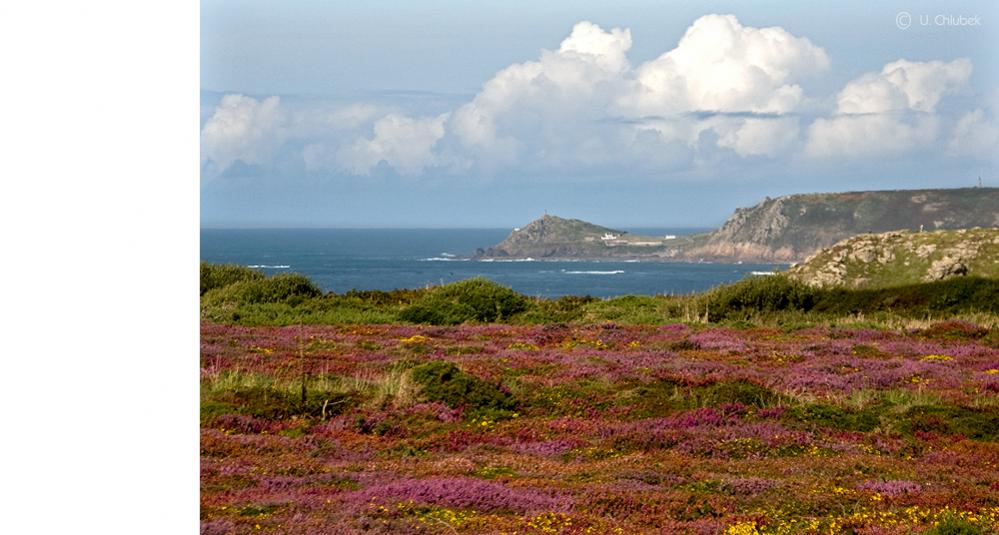 NQY landsend#3