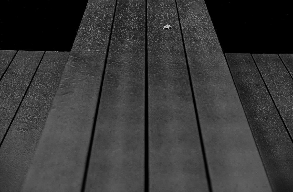 Nur 1 Blatt (1 von 1).JPG