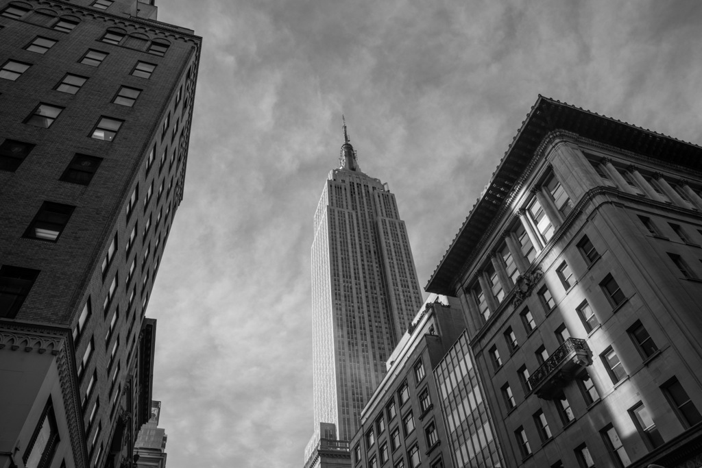 ny webline03