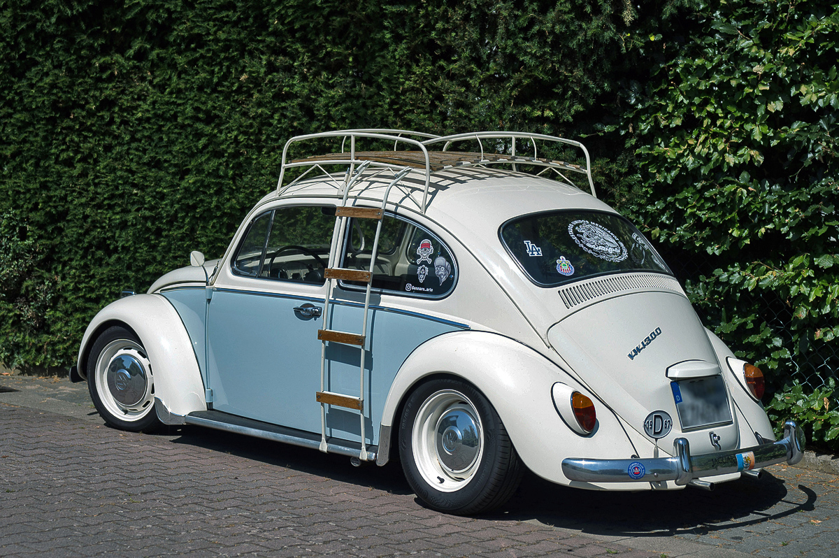 NZ6_2026_NFF-4997k.jpg