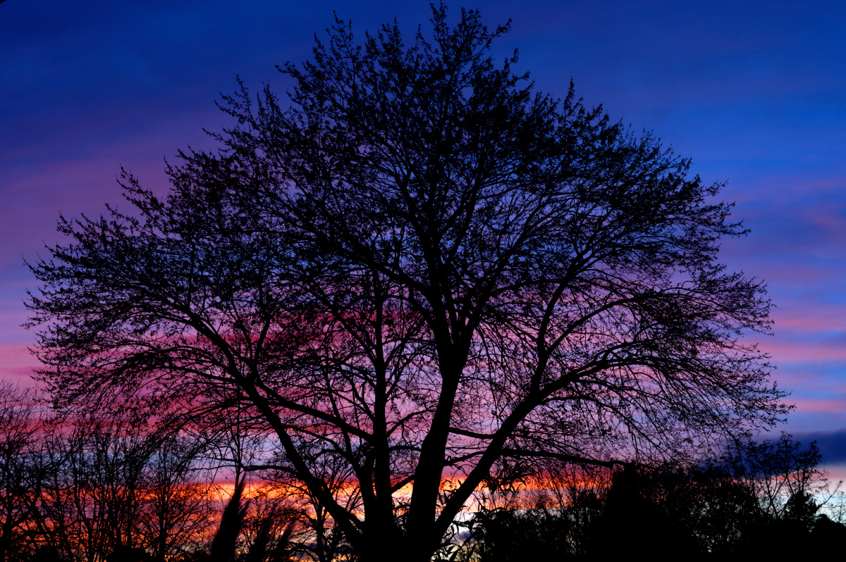 NZ6_6196_DxO.jpg