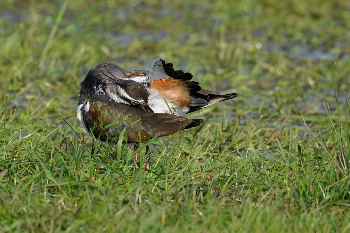 NZ9_5380_Körperpflege_IA_4_20123.jpg