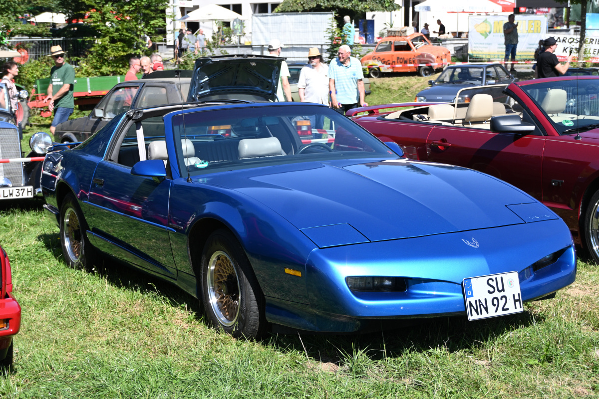 o248_05-1.JPG