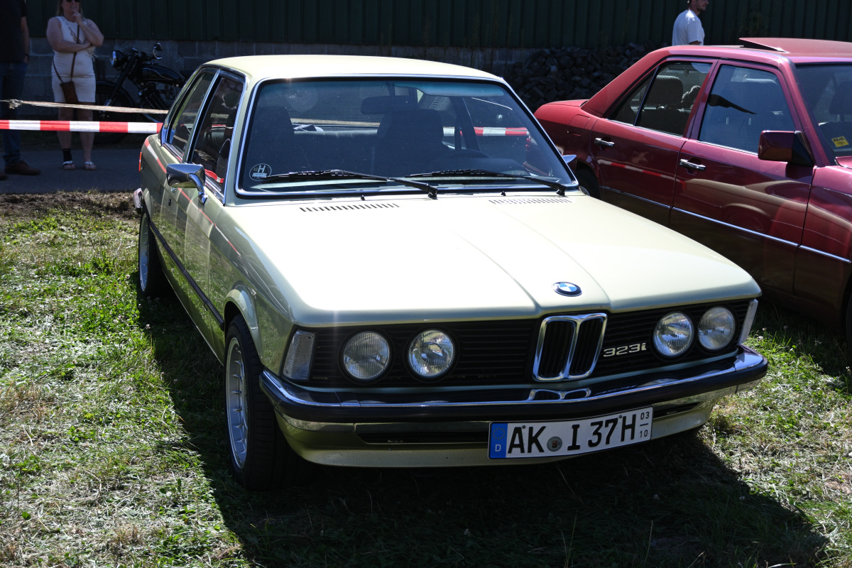 o248_08-1.JPG