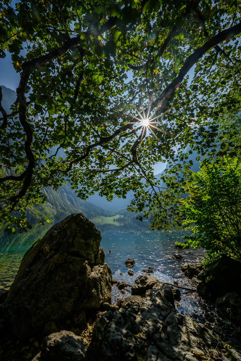 Obersee