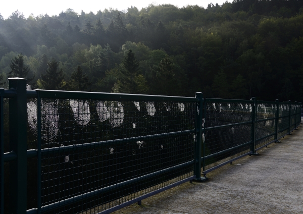 Oestertalsperre(02)