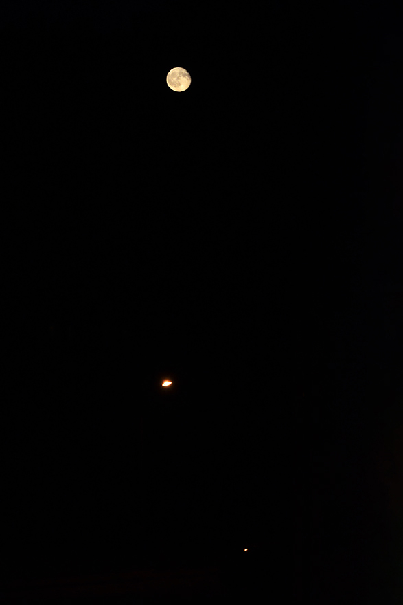 OF-08007e.jpg