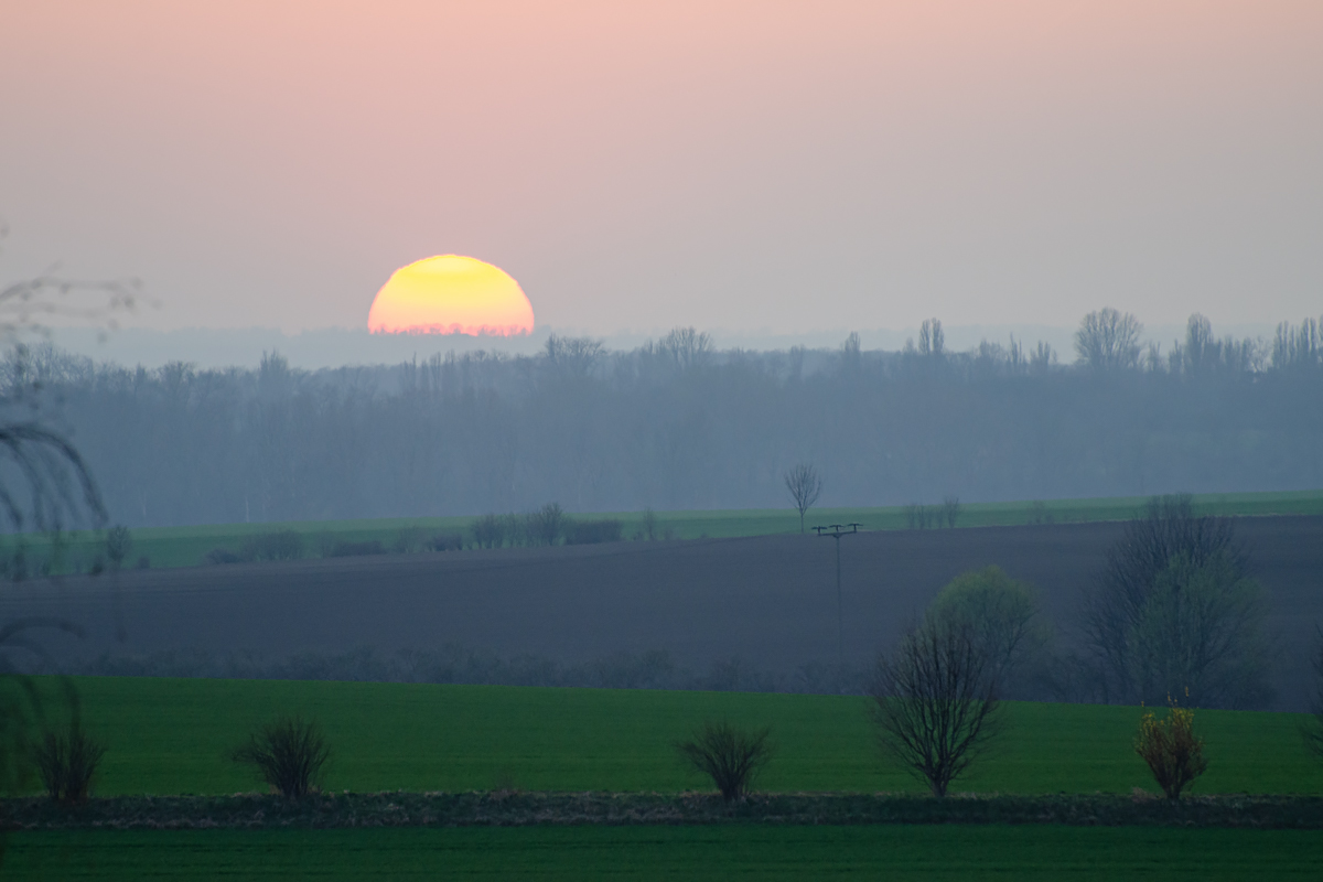OF-11259c.jpg