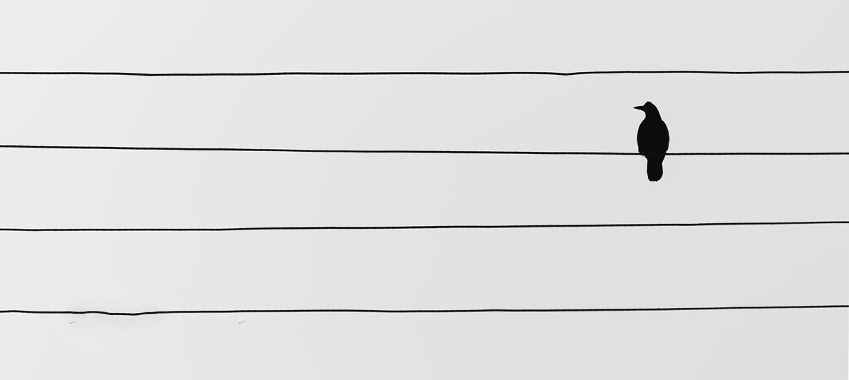 OF-18200sw.jpg