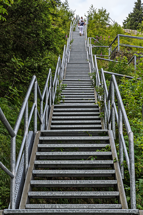 OF-46006.jpg