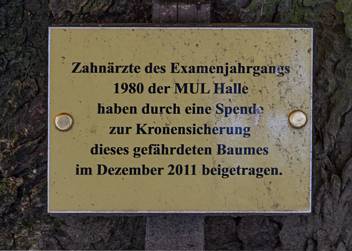 OF-49149.jpg