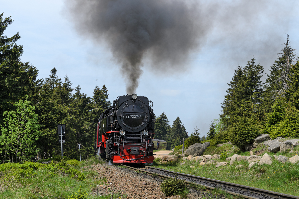 OF-55900.jpg