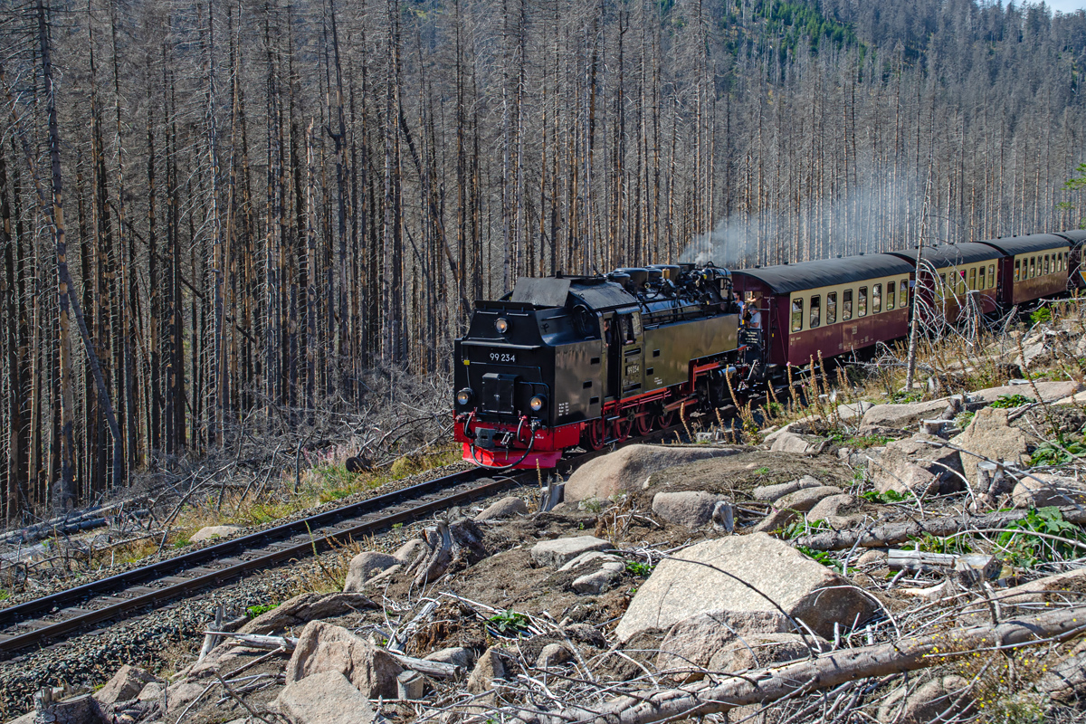 OF-60253.jpg