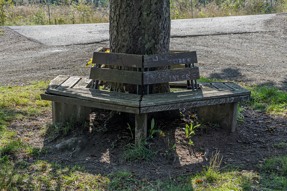 OF-60815.jpg